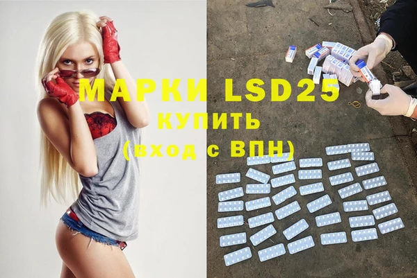 эйфоретик Аркадак