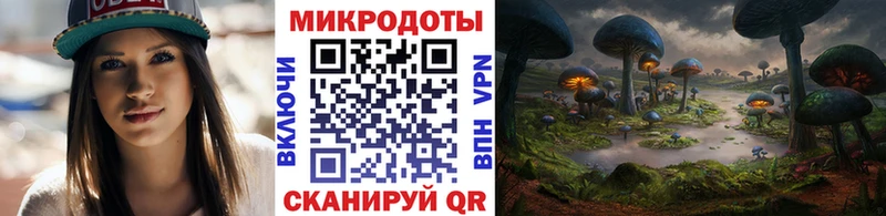 Псилоцибиновые грибы GOLDEN TEACHER  Пласт 